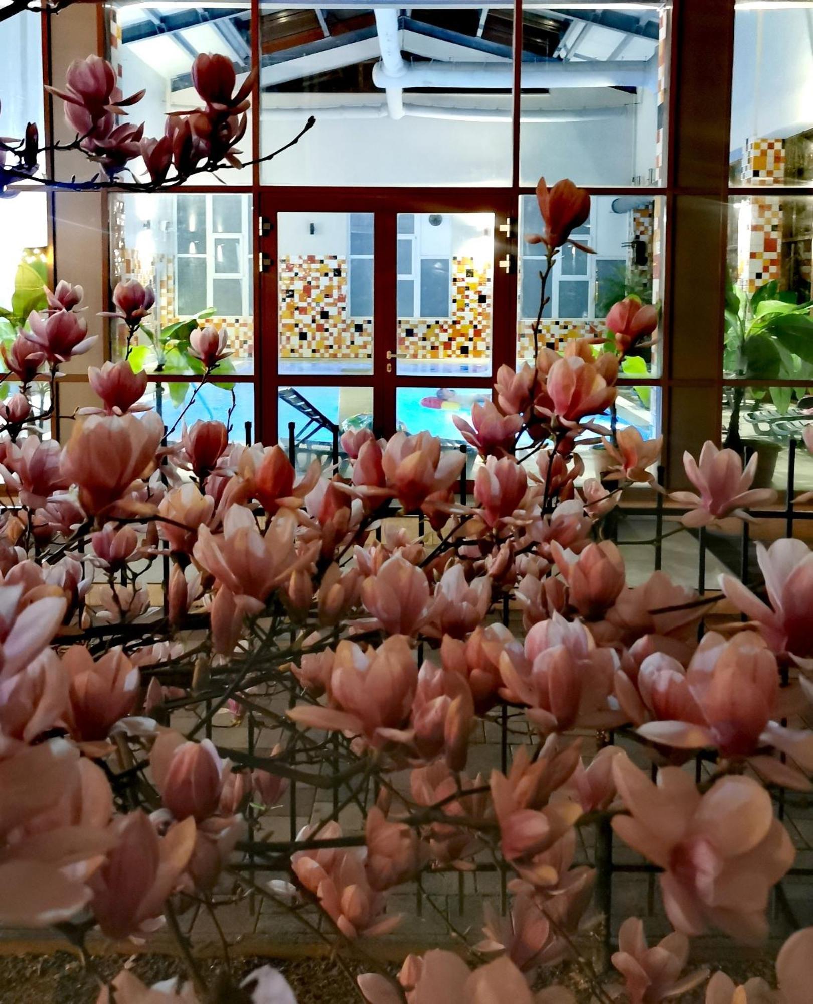 Metropol Hotel Băile Felix Buitenkant foto